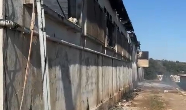 Tarsus‘ta tavuk çiftliğinde yangın 33 bin civciv telef oldu  