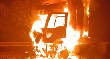 TEM Otoyolu Kartepe geçişinde muz yüklü TIR alev alev yandı