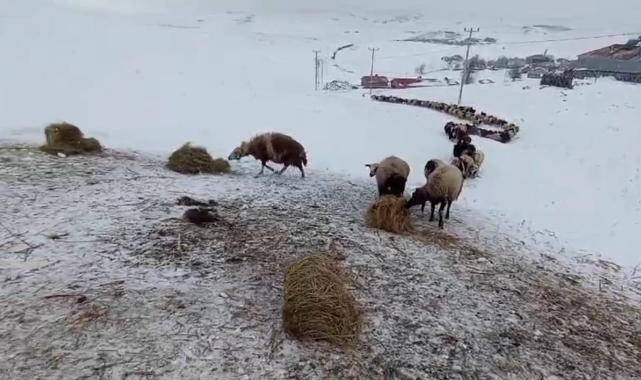 2 bin 150 rakımda zorlu kış mesaisi!