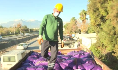 Antalya'da tespit edilen 135 ton kömür il dışına çıkarıldı