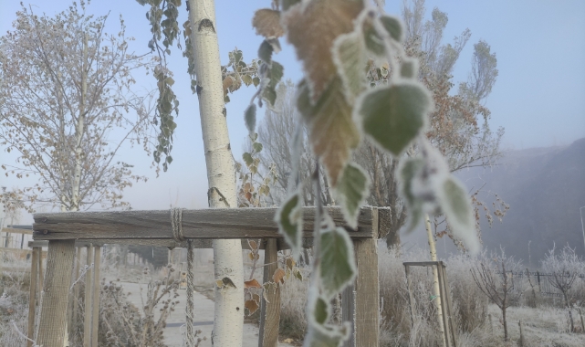 Ardahan’da Sibirya soğukları etkili oldu
