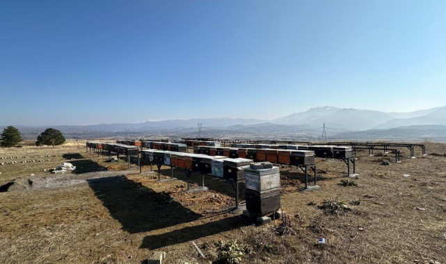Bingöl'deki Bal Ormanları’na kovan sehpası kuruldu