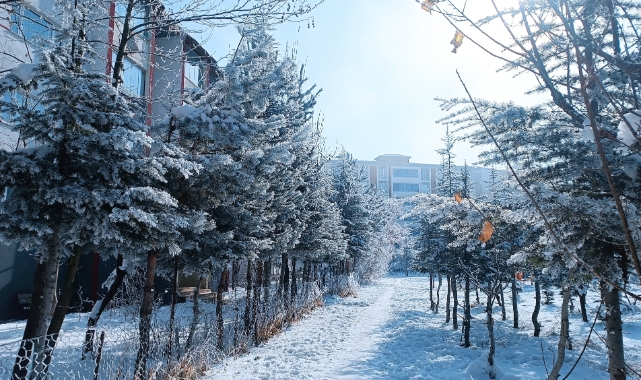 Bitlis buz tuttu