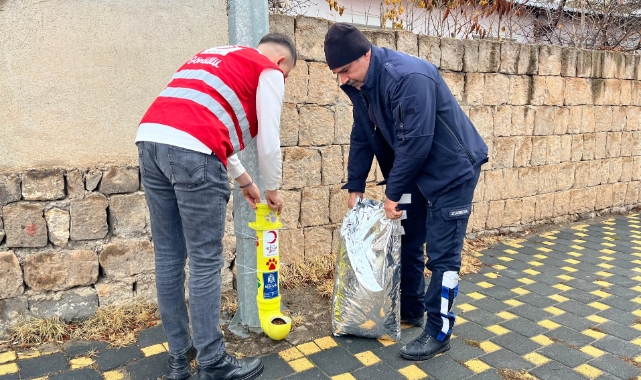 Bünyan’da sokak hayvanlarına yardım