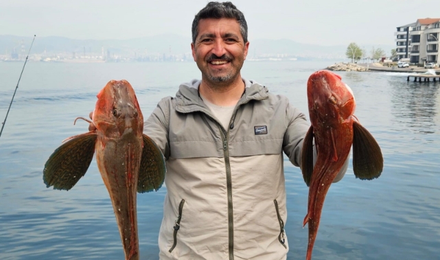 Bursa'da amatör balıkçı 6 buçuk kiloluk balık yakaladı