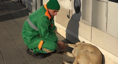 Bursa'da belediye çalışanı ve köpeğin keyifli vakit geçirmesi içleri ısıttı