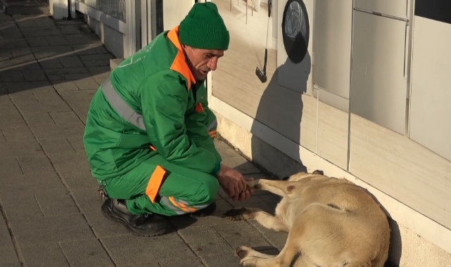 Bursa'da belediye çalışanı ve köpeğin keyifli vakit geçirmesi içleri ısıttı