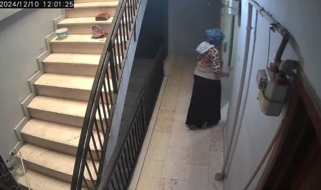 Bursa'da havlayan köpek hırsızı engelledi