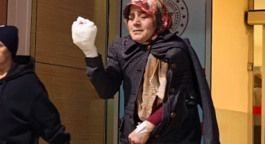 Bursa'da yem karma makinesine elini kaptıran kadın yaralandı