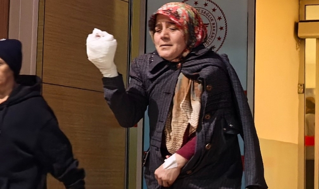Bursa'da yem karma makinesine elini kaptıran kadın yaralandı