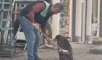 Bursa'da yürekleri ısıtan görüntü...