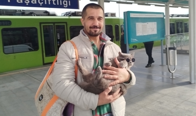 Bursaray'daki sevimli kedi ilgi çekti