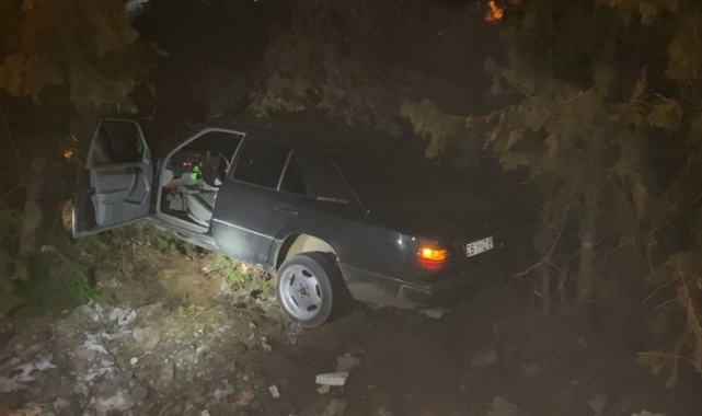 Elazığ’da otomobil, ağaçlara çarptı: 4 yaralı