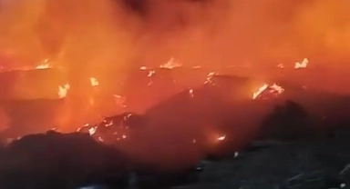 Fabrika bahçesinde çıkan yangın korkuttu