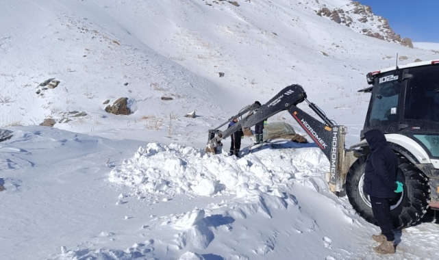 Hakkari 3 bin 500 rakımda zorlu çalışma