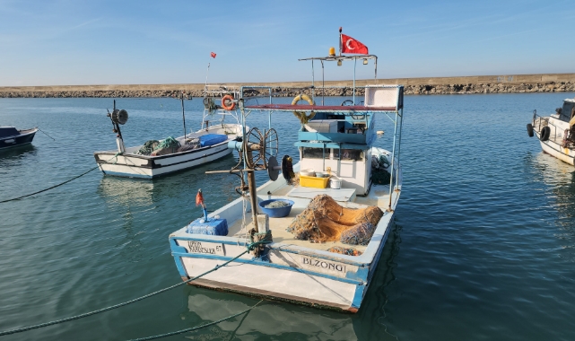 Hamsi Zonguldak'ta tezgahları şenlendiriyor