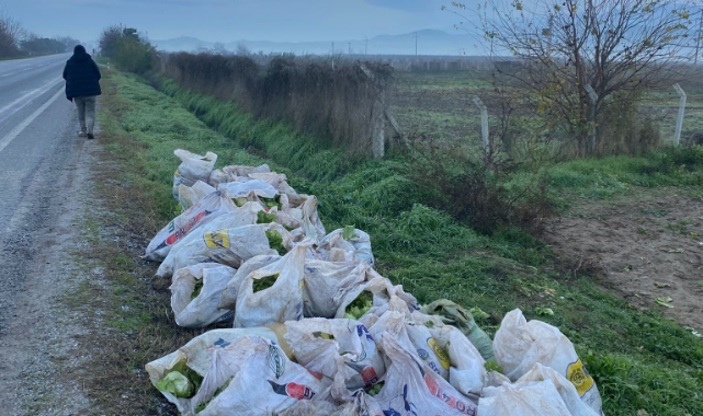 İzmir'de onlarca çuval marul çalan şüpheliler tutuklandı