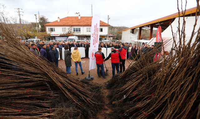 Kavaklıdere’de Cennet Elması fidanı dağıtımı