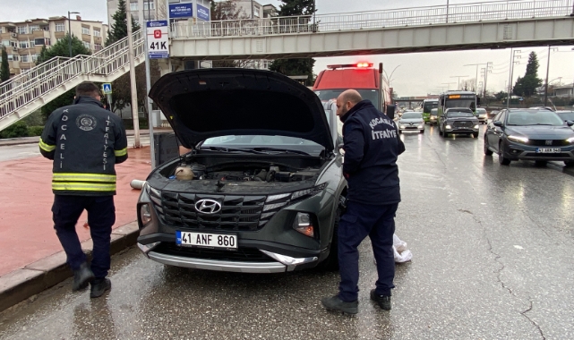 Kedi motora saklanıp 13 km yol gitti!