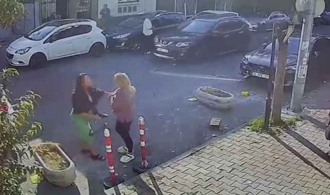 Kedisinin tıraşını beğenmeyen kadın veterinere saldırdı