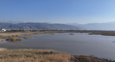 'Kuş cenneti' eski günlerine döndü