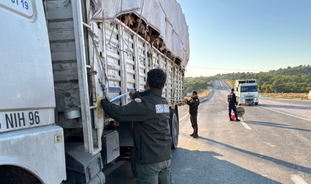 Mersin'de orman suçlarına karşı denetimler sürüyor
