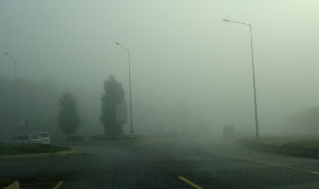 Muğla'da yoğun sis