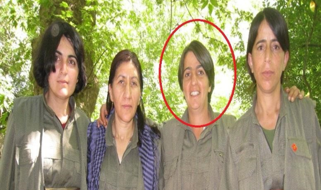 MİT'ten Suriye Kamışlı'da nokta operasyon