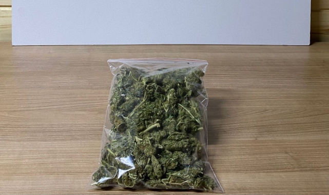 Samsun'da 142,5 gram skunk ele geçirildi