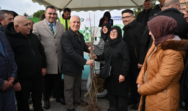 Toprak, Büyükşehir'le bereketleniyor! Üreticiye fidan desteği