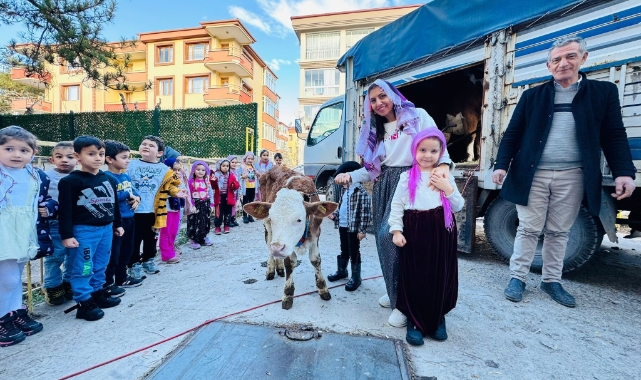 Yerli Haftası’nı okula getirdikleri ‘inekle’ kutladılar