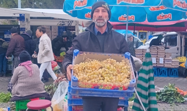 Yılbaşı sofralarının taze üzümü Sarıgöl'den