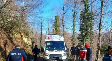 Zonguldak'ta üzerine tomruk devrilen işçi yaralandı