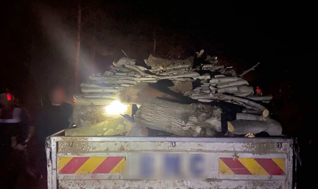 Aydın’da ormanlık alandaki ağaçları kesen 3 şüpheli yakalandı