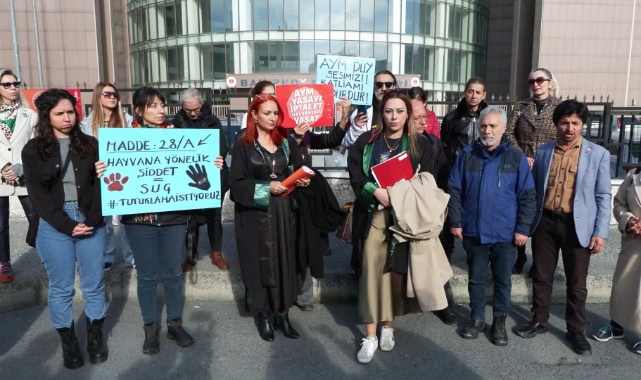 Bakırköy'de köpeğe istismar davasında karar çıktı!