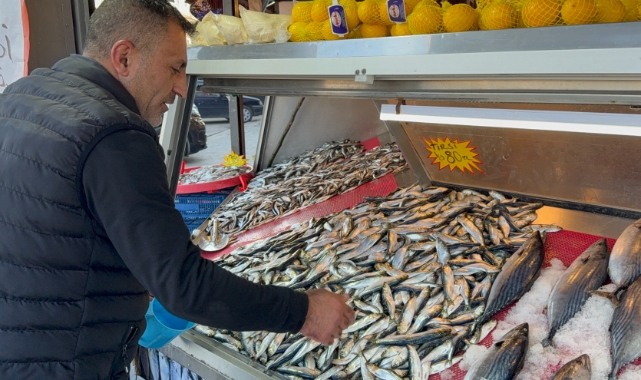 Balık tezgahları şenlendi