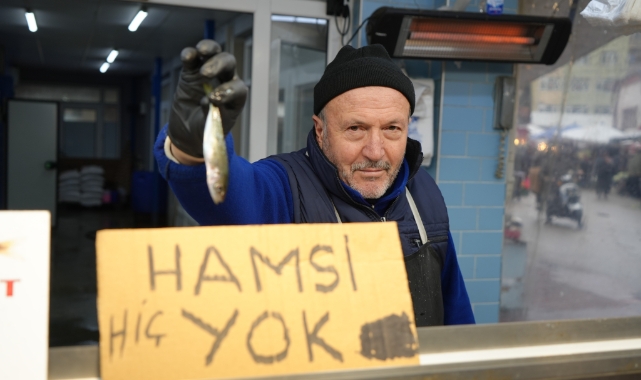 Bolu'da hamsinin olmayışı fiyatları etkiledi!