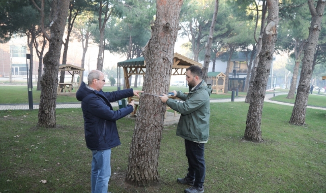 BTÜ’den orman envanterine katkı sağlayacak proje!