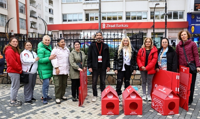 Bulancak Belediyesi'nden sokak kedileri için 'kedi pansiyonu'