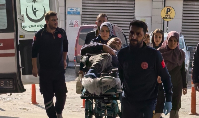 Bursa'da ağaçtan düşen şahıs yaralandı!