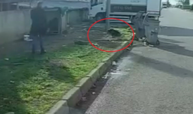 Bursa'da köpeğin saldırısına uğradı!