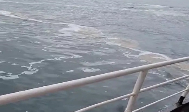 Büyükada’da müsilaj görüldü