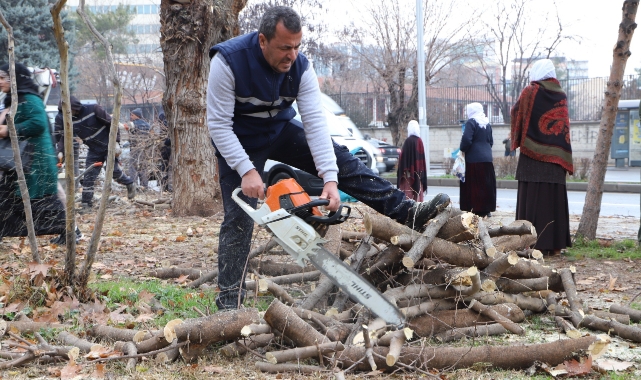 Diyarbakır'da 24 bin 833 ağaç budandı