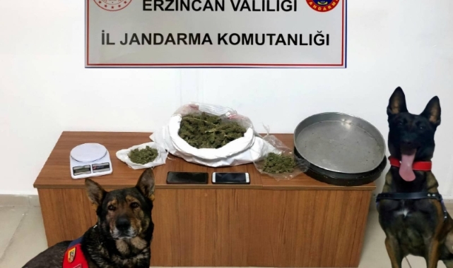 Erzincan’da jandarma ekipleri 2024 yılı Aralık ayında meydana gelen olayların yüzde 98’ini aydınlattı