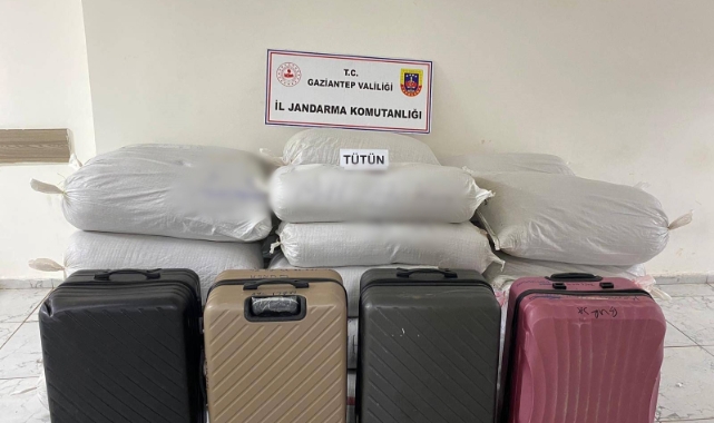 Gaziantep’te 1 ton 750 kilo kaçak tütüne el kondu