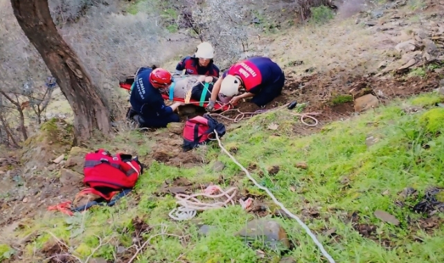 İzmir'de düştüğü dik yamaçta mahsur kalan vatandaşı itfaiye kurtardı