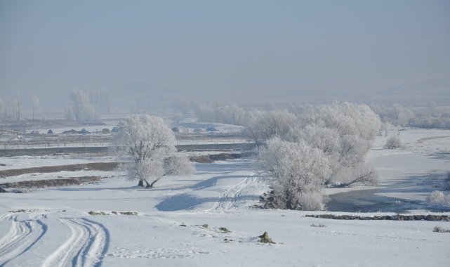 Kars dondu, ağaçlar kırağı tuttu