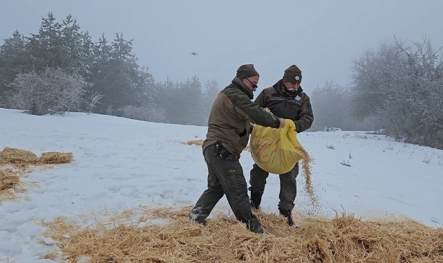 Kastamonu’da yaban hayvanları için doğaya yem bırakıldı