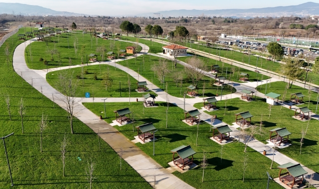 Kocaeli'de son 22 yılda dikilen ağaç sayısı 9 milyonu geçti