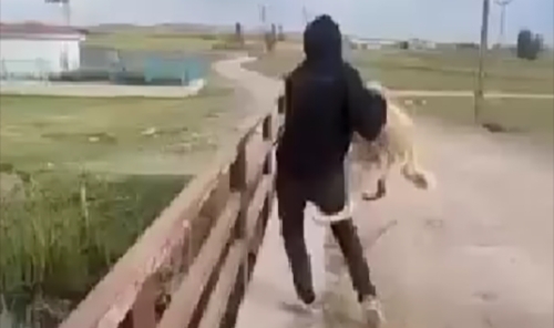 Köpeği köprüden suya atan 2 kişi hakkında işlem yapıldı